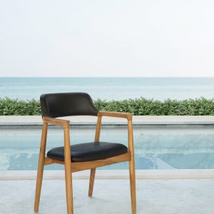Πολυθρόνα από φυσικό teak με μαύρη επένδυση